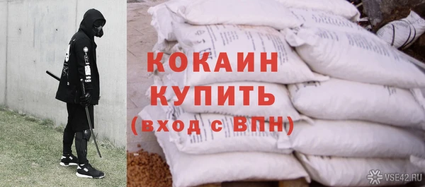 дурь Заводоуковск