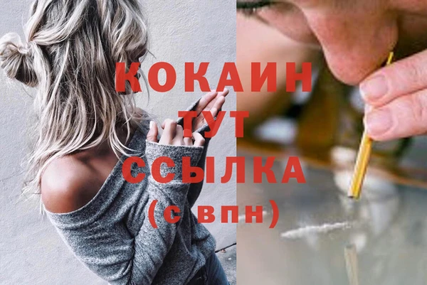 дурь Заводоуковск