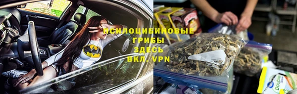 стаф Заволжье