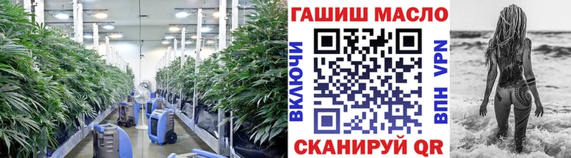 Купить  Краснозаводск  ТГК концентрат 