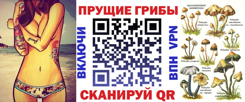 Псилоцибиновые грибы Magic Shrooms  Купить  Краснозаводск 