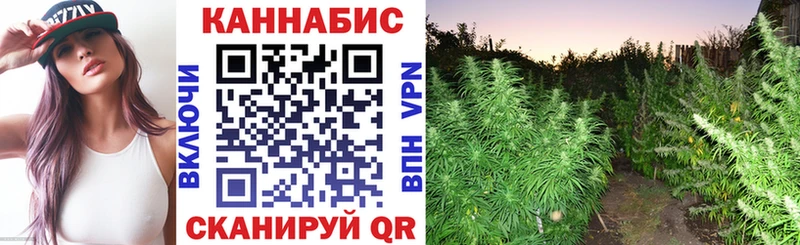 Бошки марихуана гибрид  Купить где  Краснозаводск 